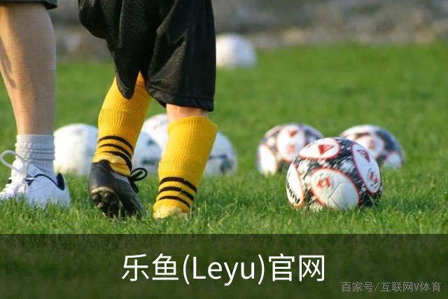 乐鱼(Leyu)官网公司环境